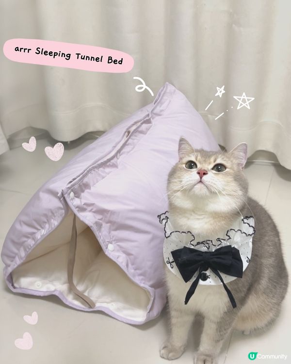 貓貓3合1飯捲隧道床墊開箱！😻💜