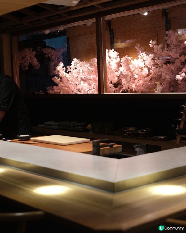 【尖咀櫻花🌸打卡一流！晚市發辦超正😋】