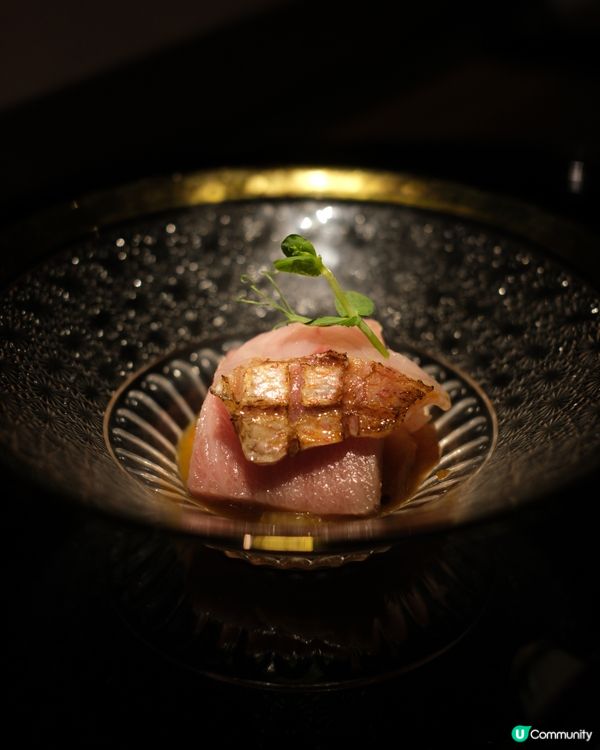 【尖咀櫻花🌸打卡一流！晚市發辦超正😋】