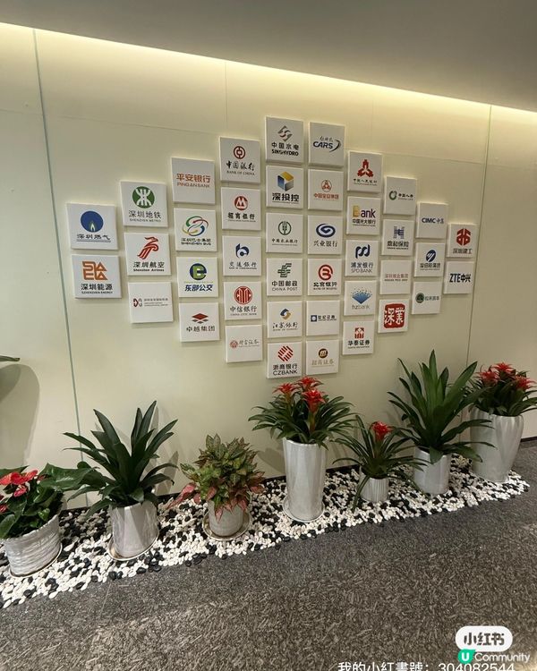 深圳體檢抵到喊！🤩 福田第一健康超正！💰 健康Che