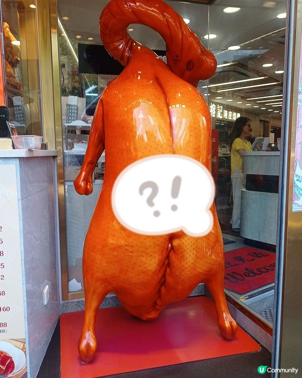 邊度有咁大隻燒鵝？
