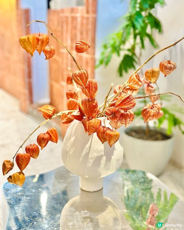 中環｜深夜甜品小確幸！低脂希臘乳酪雪糕＋寵物杯＋限定酒味系列