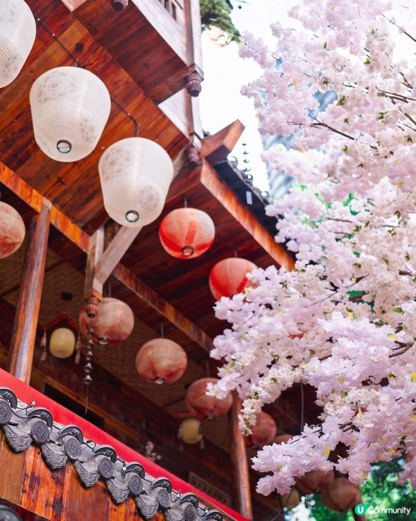 親子深圳漢服火鍋遊記及貼士分享！🏮