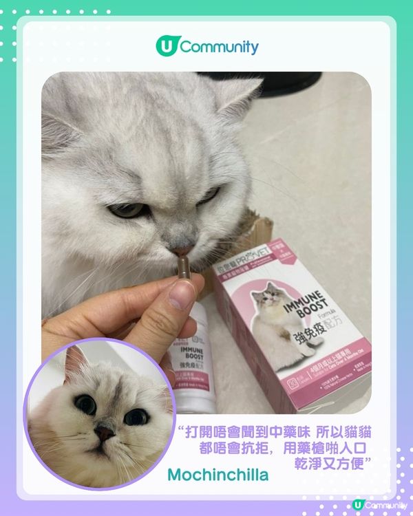 【#UCreator實測報告】位元堂「位您寵」貓狗保健品