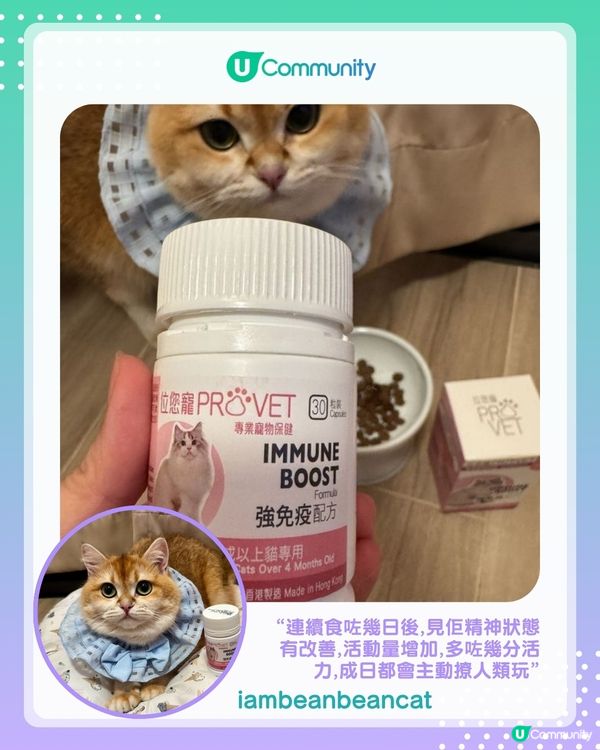 【#UCreator實測報告】位元堂「位您寵」貓狗保健品