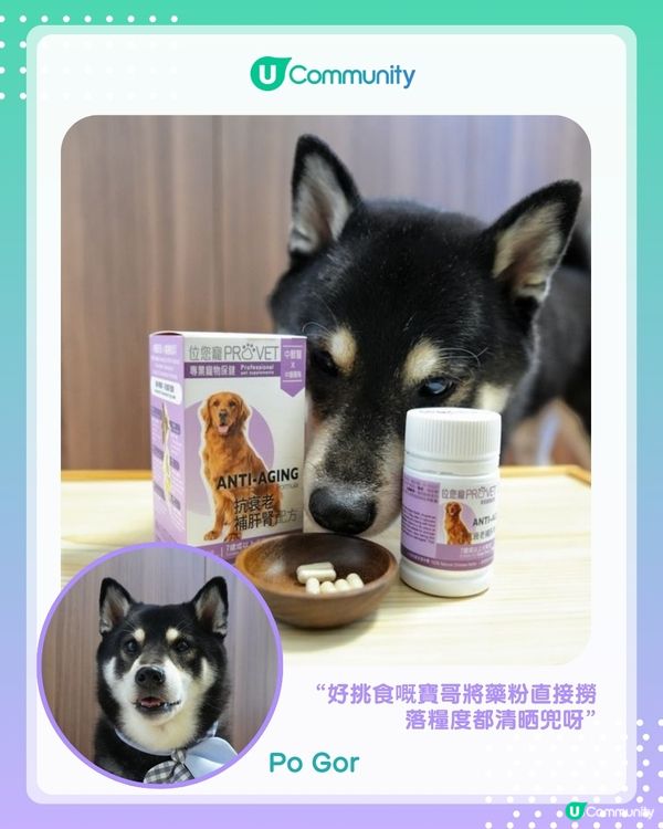 【#UCreator實測報告】位元堂「位您寵」貓狗保健品