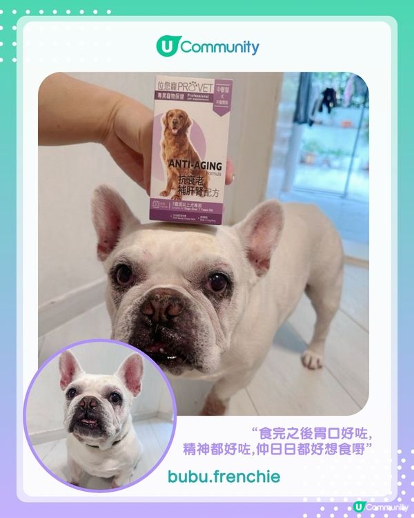 【#UCreator實測報告】位元堂「位您寵」貓狗保健品