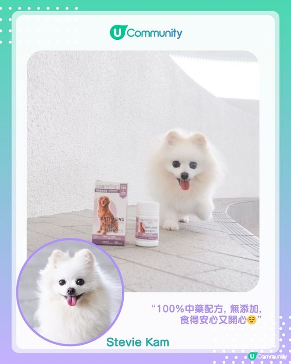 【#UCreator實測報告】位元堂「位您寵」貓狗保健品