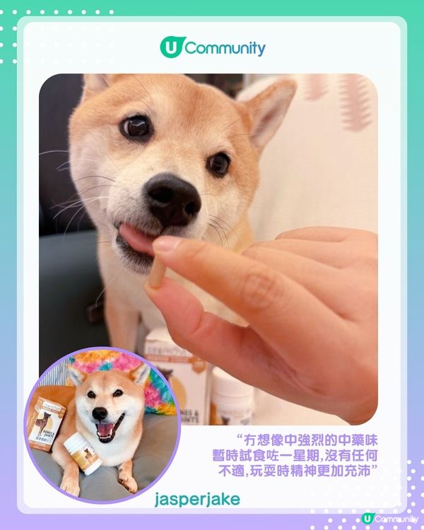 【#UCreator實測報告】位元堂「位您寵」貓狗保健品