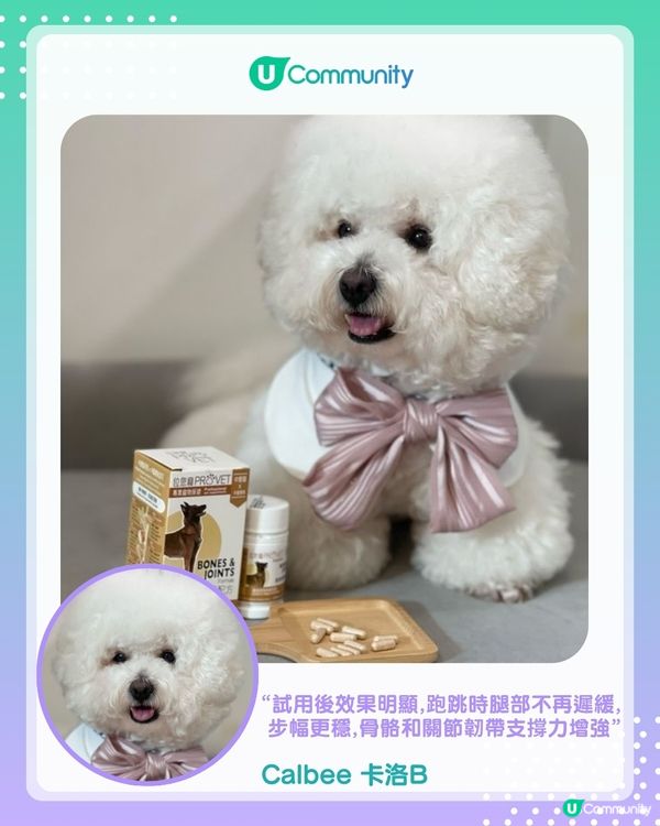【#UCreator實測報告】位元堂「位您寵」貓狗保健品