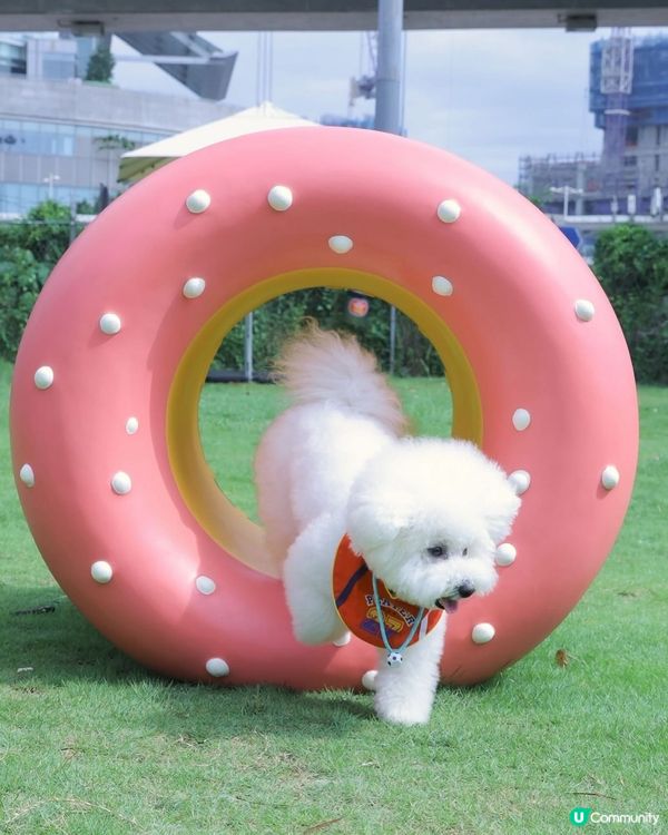 西九全新寵物俱樂部！狗狗放電新蒲點 🐶🥳