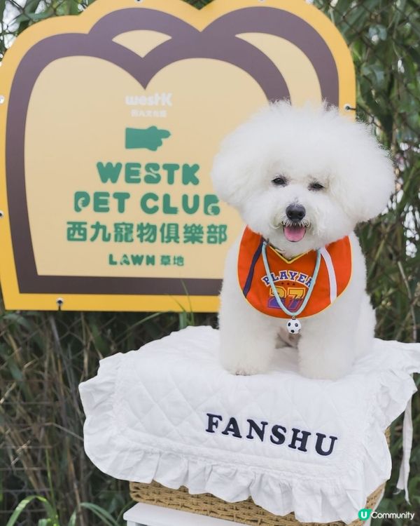 西九全新寵物俱樂部！狗狗放電新蒲點 🐶🥳