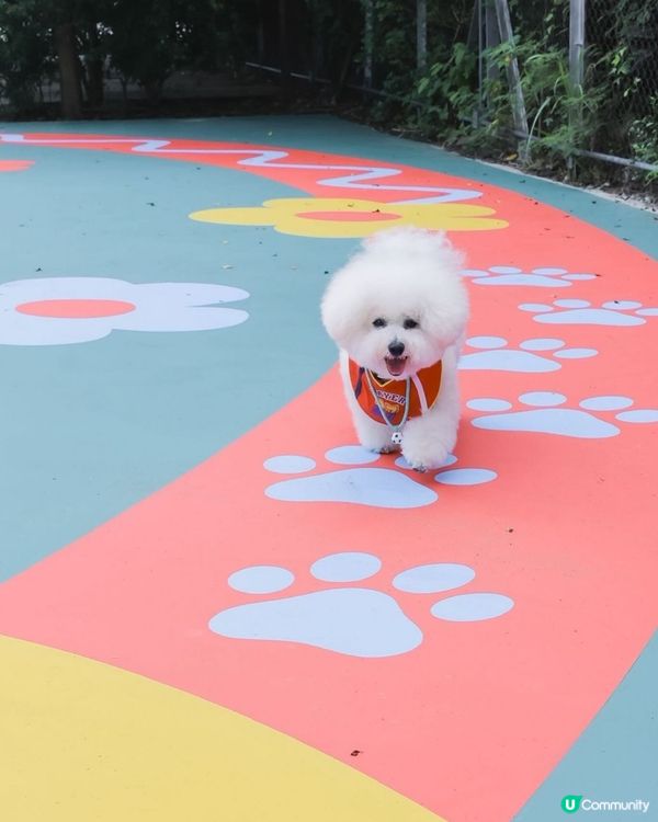 西九全新寵物俱樂部！狗狗放電新蒲點 🐶🥳