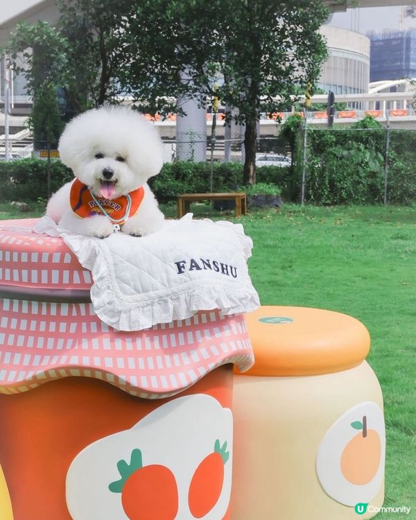 西九全新寵物俱樂部！狗狗放電新蒲點 🐶🥳