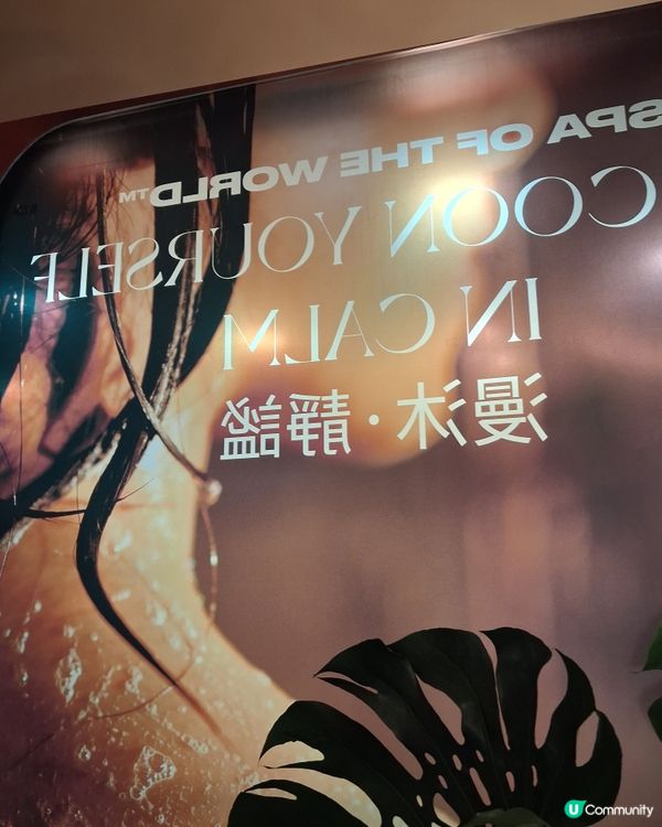 the body shop 