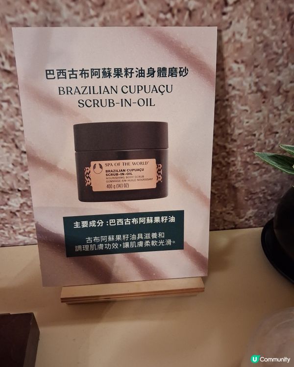 the body shop 
