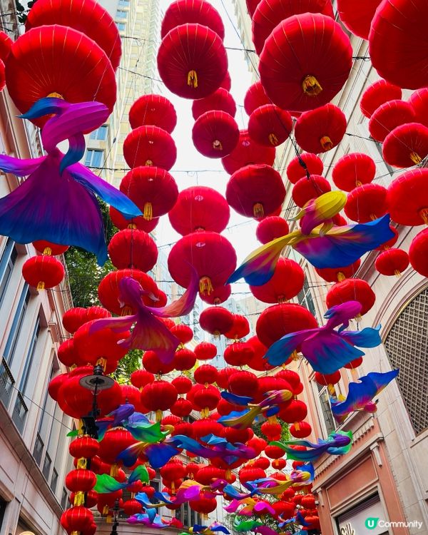 香港中秋日遊記