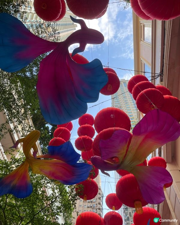 香港中秋日遊記