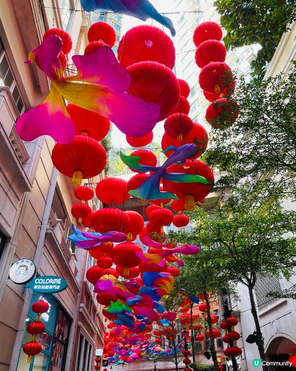 香港中秋日遊記