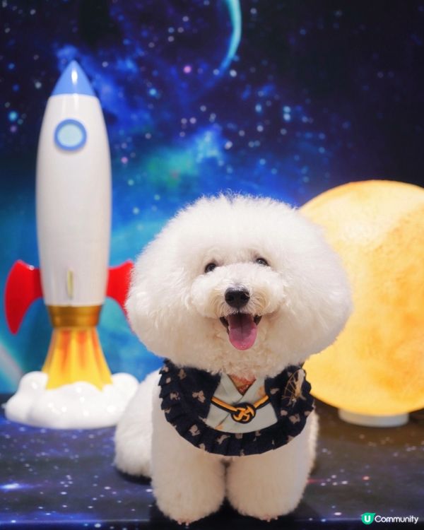 打卡食月餅，慶節一站之選