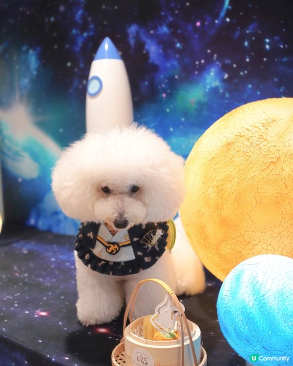 打卡食月餅，慶節一站之選