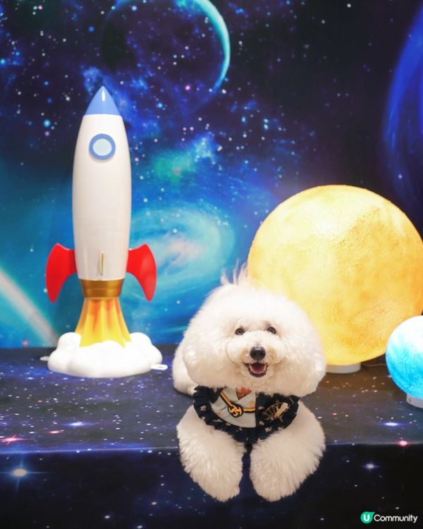 打卡食月餅，慶節一站之選