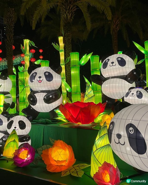 香港中秋夜遊記