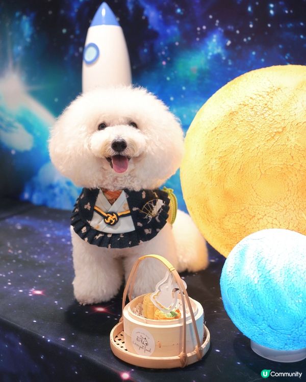 打卡食月餅，慶節一站之選