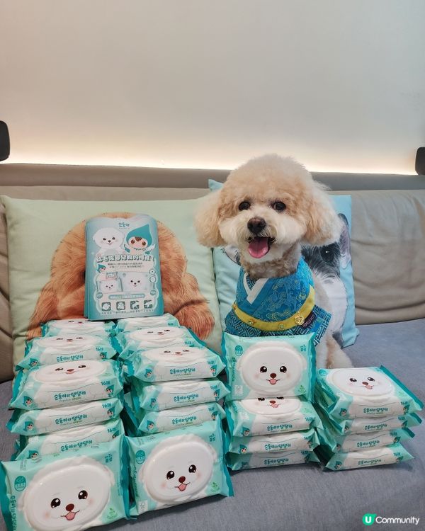 狗狗專用濕紙巾