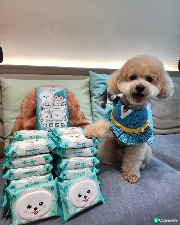 狗狗專用濕紙巾