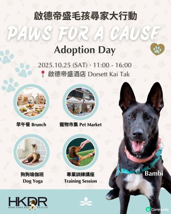 香港啟德帝盛酒店人寵早午餐