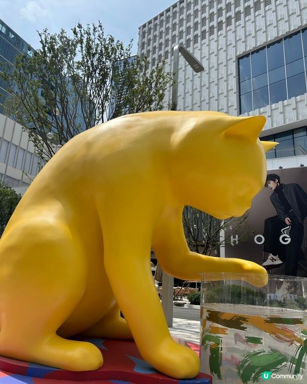 深圳打卡攻略！萬象城二期必去🤩 1.5小時玩轉！