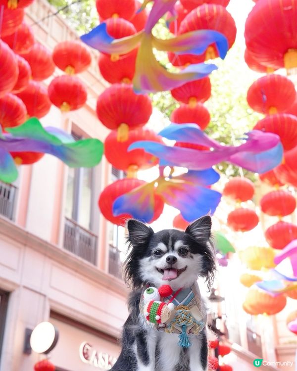 中秋節周圍都好有氣氛呀🤩🏮