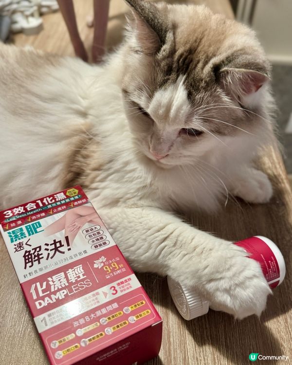 告別節食!｢#化濕輕｣同你踢走濕肥､還你輕盈!