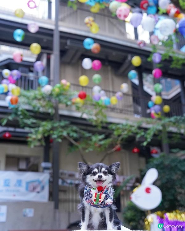 日光下的藍屋🩵