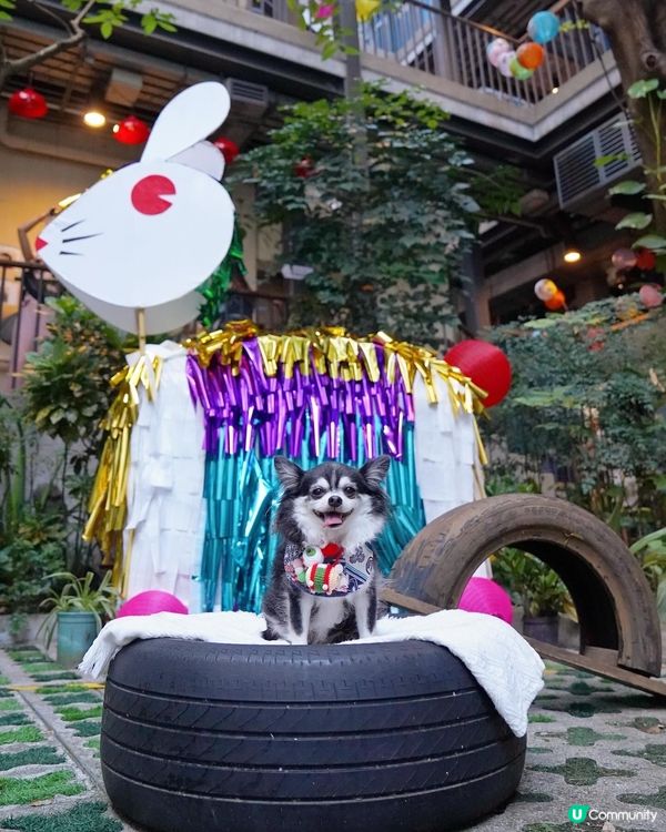 日光下的藍屋🩵