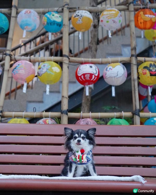 日光下的藍屋🩵