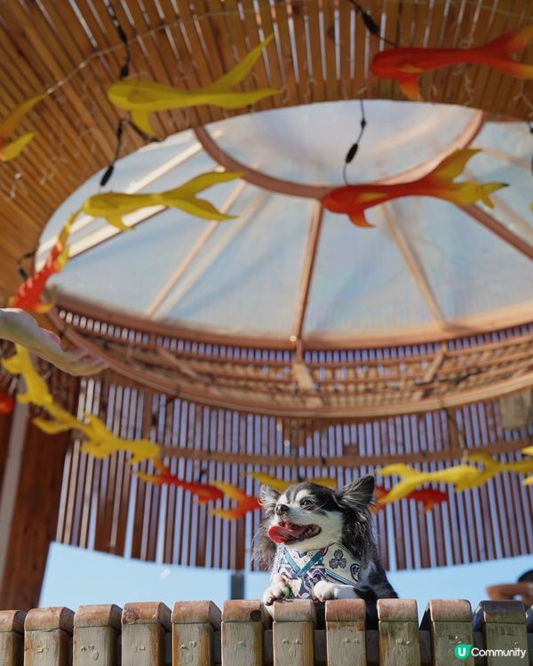 灣仔海濱都有啲啲氣氛架😎