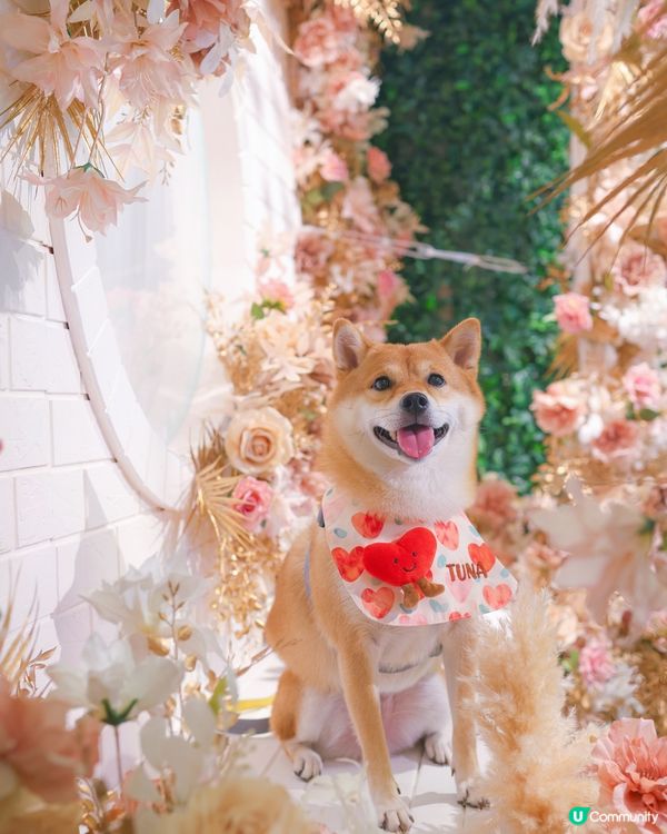 10 月 商場PopWalk啤酒美食節 