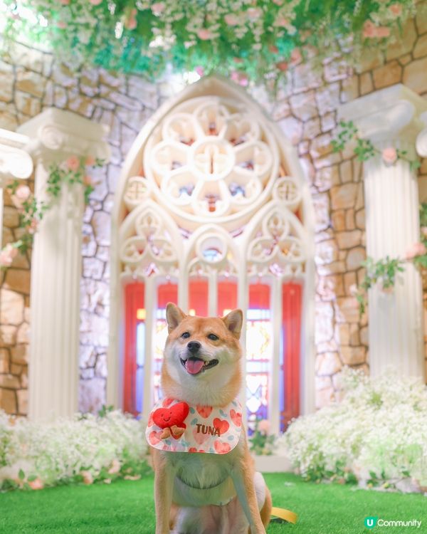 10 月 商場PopWalk啤酒美食節 