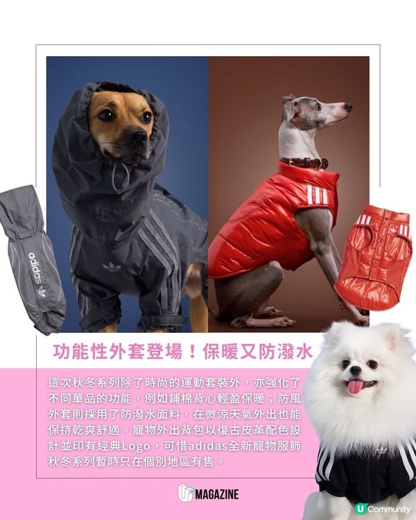 adidas推出秋季寵物系列！ 同毛孩親子裝！尺碼擴充適合不同體型的貓狗！