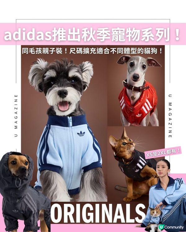 adidas推出秋季寵物系列！ 同毛孩親子裝！尺碼擴充適合不同體型的貓狗！