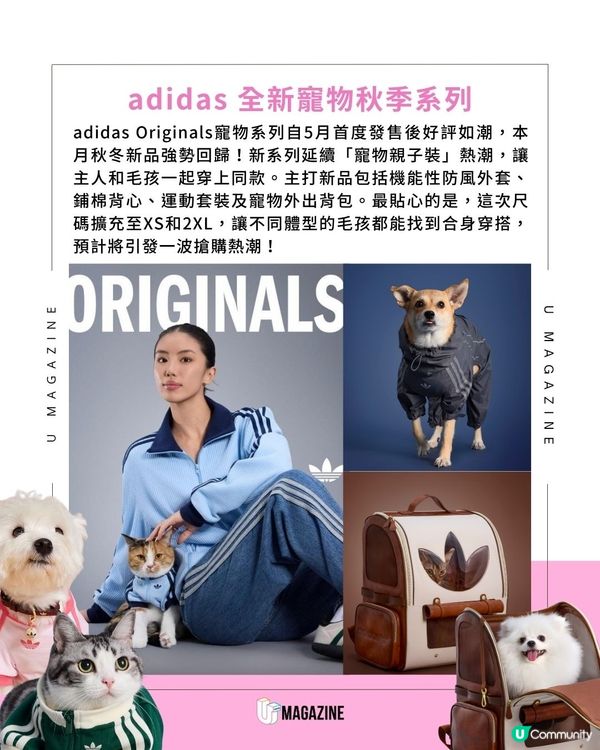 adidas推出秋季寵物系列！ 同毛孩親子裝！尺碼擴充適合不同體型的貓狗！
