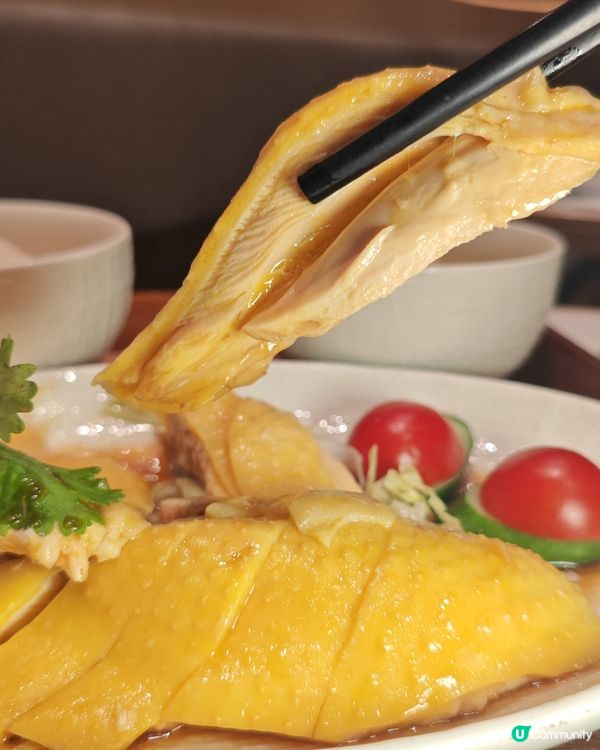 【香港海南雞飯🤤！嫩滑到爆！必試！】