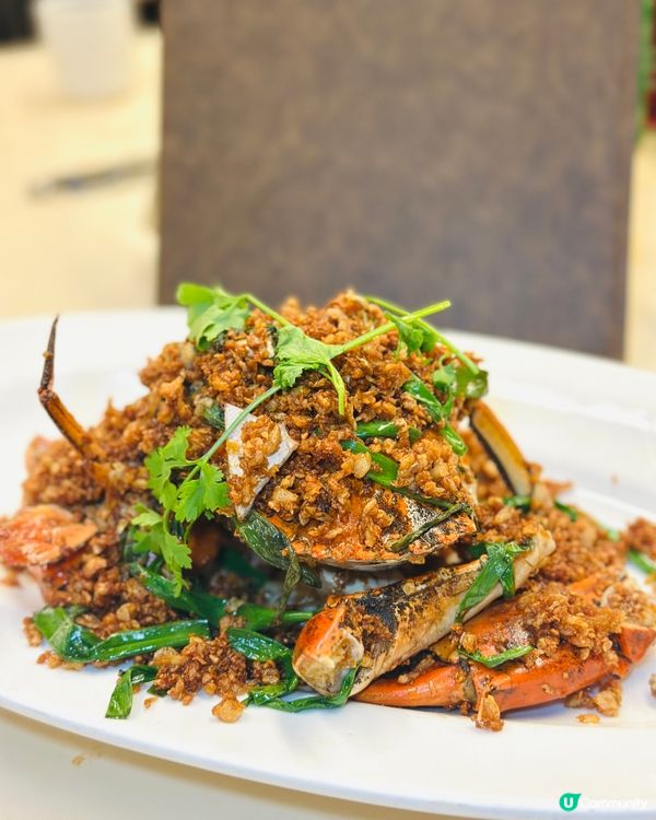 超抵食私房菜！觀塘必試😋！人均$300幾！💰