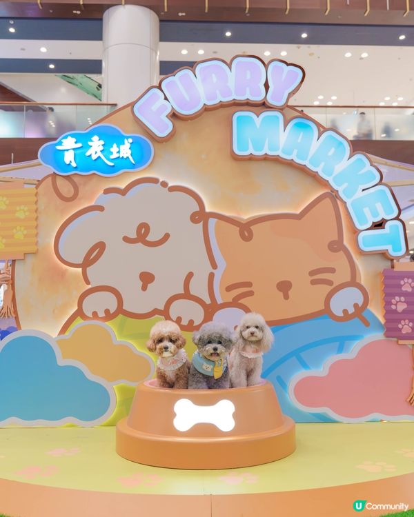 青衣城行街街！🐶🛍️ 買嘢做善事！🥳