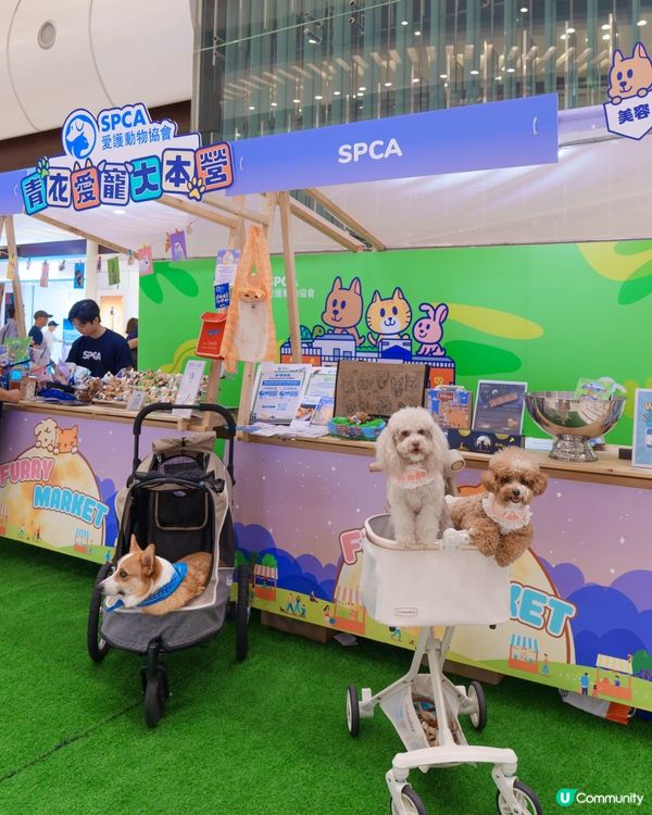 青衣城行街街！🐶🛍️ 買嘢做善事！🥳
