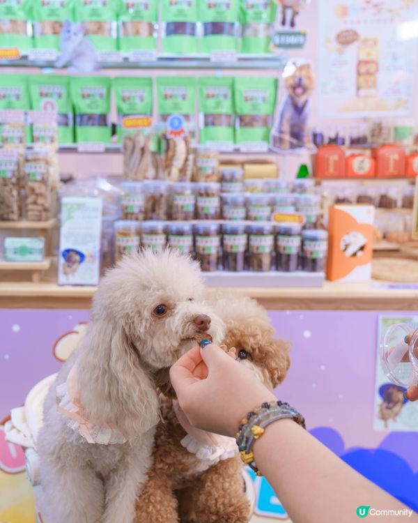 青衣城行街街！🐶🛍️ 買嘢做善事！🥳