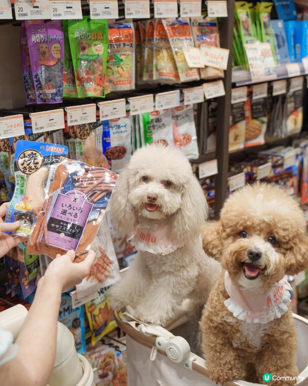 青衣城行街街！🐶🛍️ 買嘢做善事！🥳