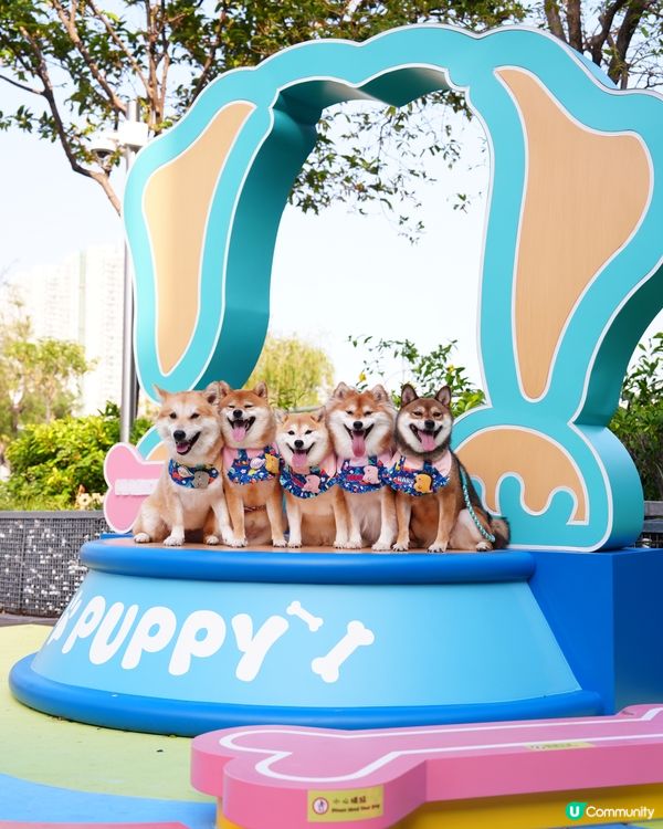 青衣城寵物新蒲點🐾